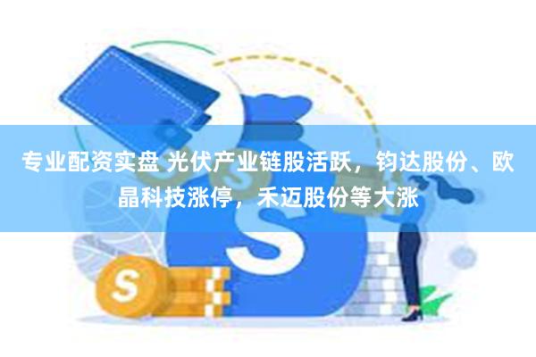 专业配资实盘 光伏产业链股活跃，钧达股份、欧晶科技涨停，禾迈股份等大涨