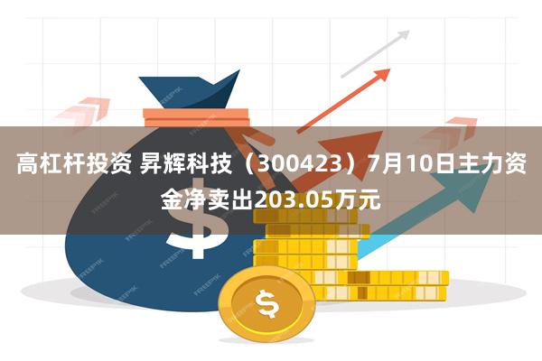 高杠杆投资 昇辉科技（300423）7月10日主力资金净卖出203.05万元