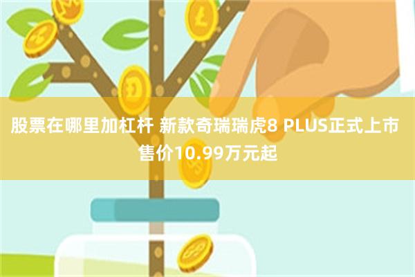 股票在哪里加杠杆 新款奇瑞瑞虎8 PLUS正式上市 售价10.99万元起